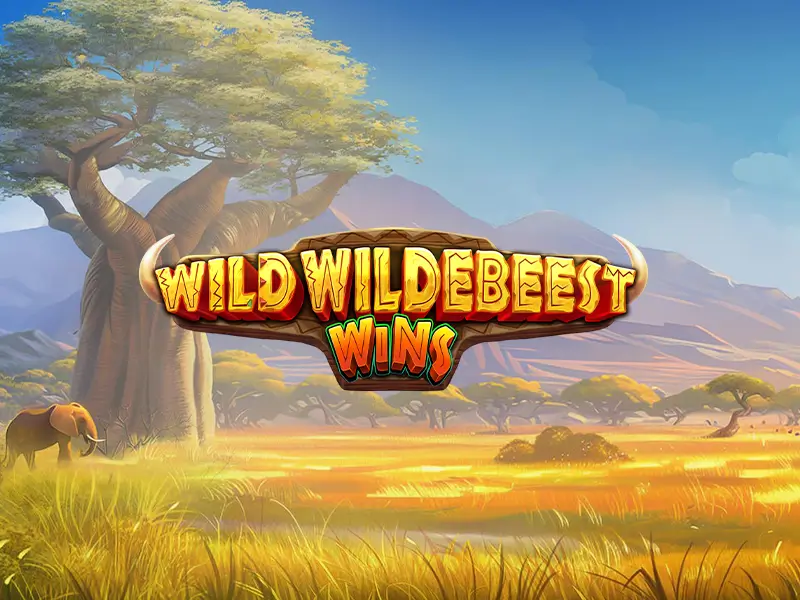 Imagem do jogo Wild Wildebeest Wins